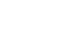 puma cat with r